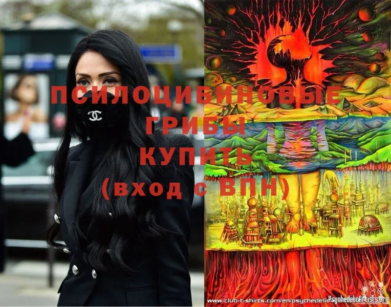 Галлюциногенные грибы мицелий  hydra ссылки  Кировград 